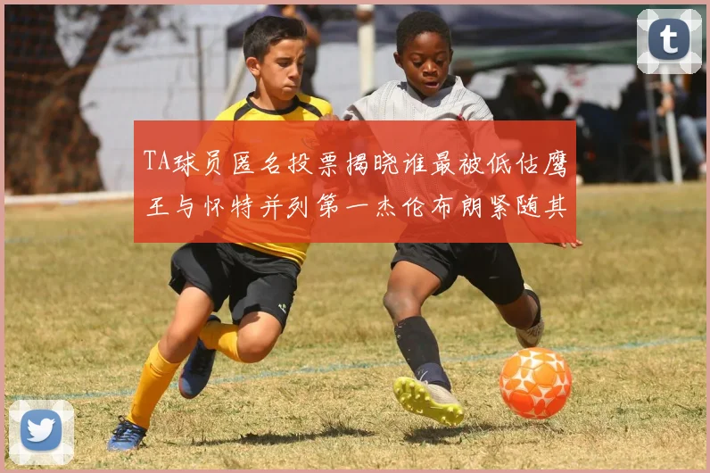TA球员匿名投票揭晓谁最被低估鹰王与怀特并列第一杰伦布朗紧随其后